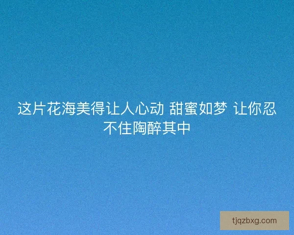 这片花海美得让人心动 甜蜜如梦 让你忍不住陶醉其中