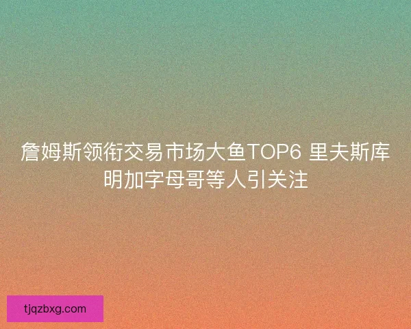 詹姆斯领衔交易市场大鱼TOP6 里夫斯库明加字母哥等人引关注