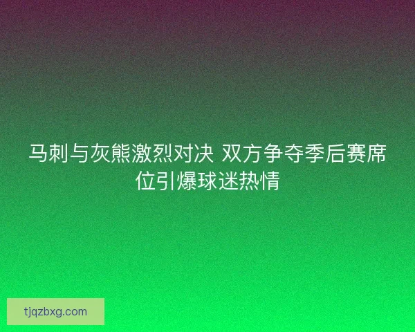 马刺与灰熊激烈对决 双方争夺季后赛席位引爆球迷热情