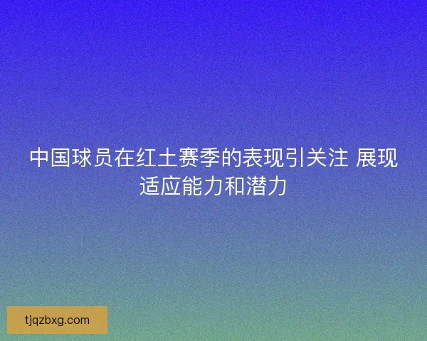 中国球员在红土赛季的表现引关注 展现适应能力和潜力
