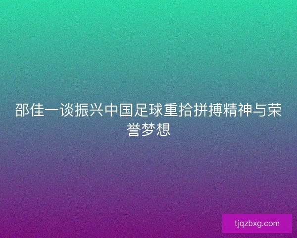 邵佳一谈振兴中国足球重拾拼搏精神与荣誉梦想 邵佳一谈振兴中国足球重拾拼搏精神与荣誉梦想